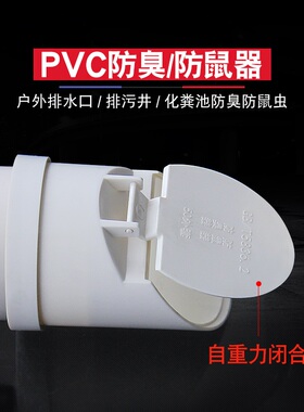 pvc排水管防臭器下水管堵口防老鼠110排污化粪池户外防臭防鼠虫盖