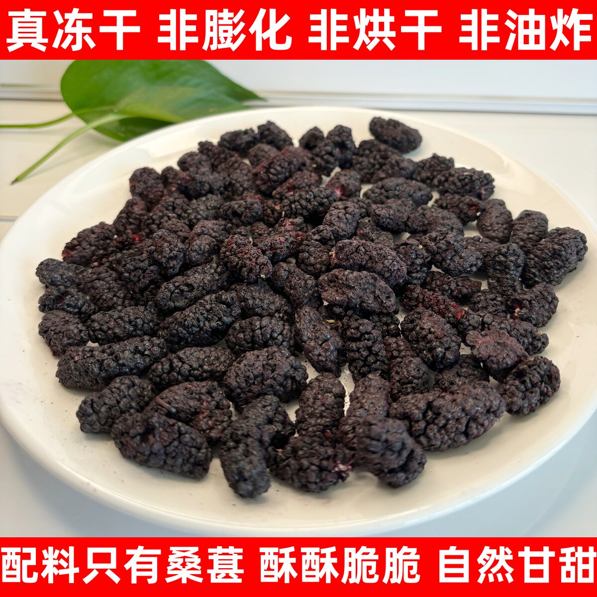 冻干桑葚干无添加油非油炸水果干即食泡水特产零食桑葚干黑桑葚