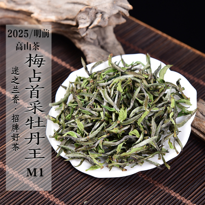 新茶2025年首采梅占白牡丹王M1 兰花香甜香高山白牡丹政和白茶