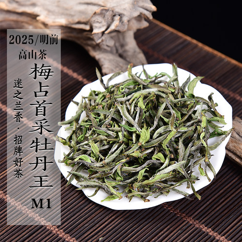 新茶2025年首采梅占白牡丹王M1 兰花香甜香高山白牡丹政和白茶