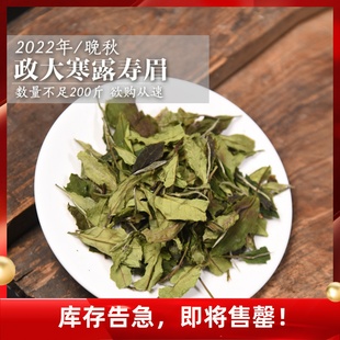 【数量少 】2022年晚秋政大寒露寿眉政和大白品种白茶