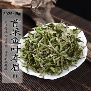 新茶2025年明前首采鱼叶寿眉F1 早春政和白茶白毫银针余叶