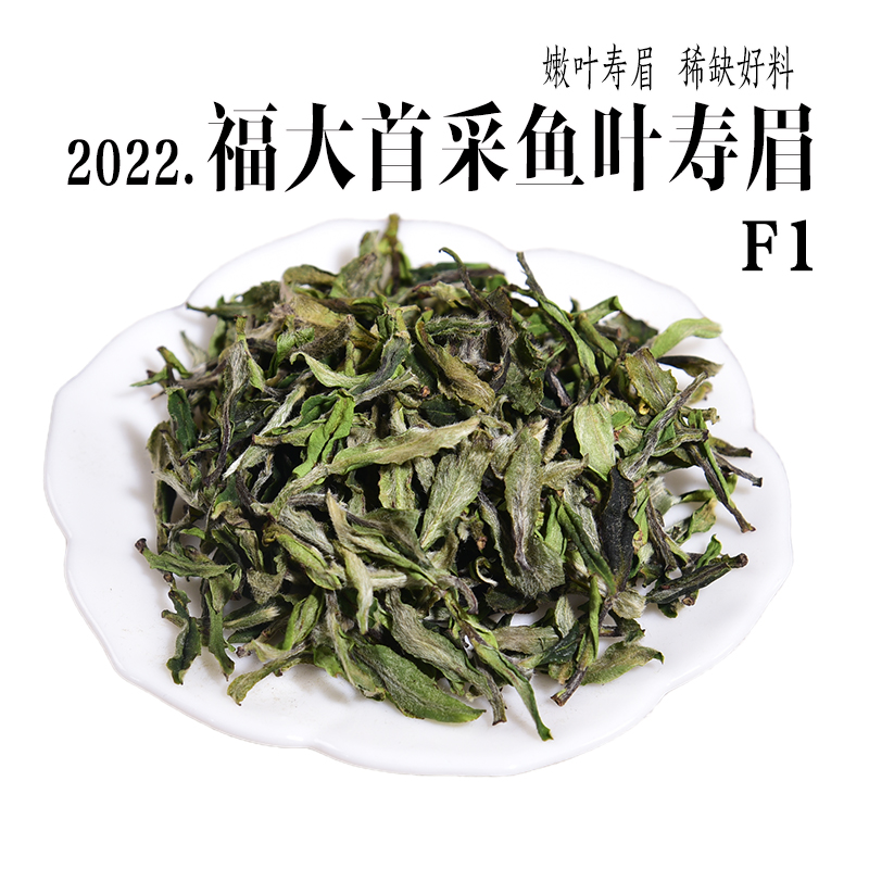 2022年明前首采鱼叶寿眉政和白茶