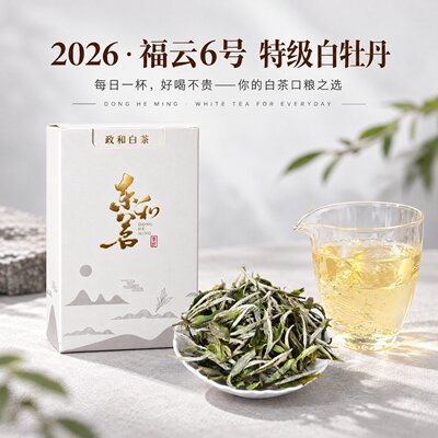 2026新茶明前特级白牡丹