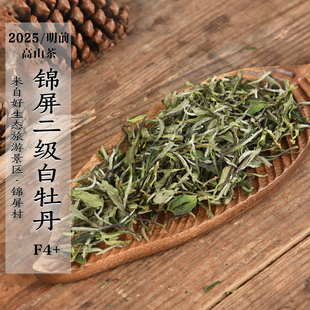 新茶 2025年头春锦屏高山二级白牡丹F4+ 花香甜香 口粮茶政和白茶