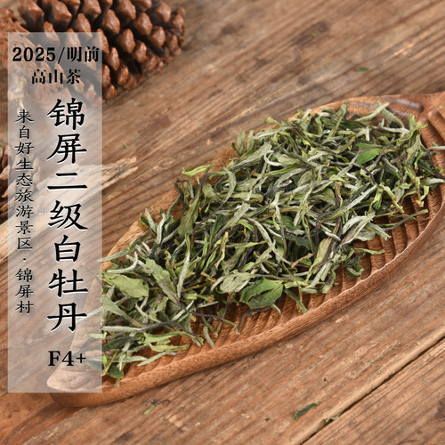 新茶 2025年头春锦屏高山二级白牡丹F4+ 花香甜香 口粮茶政和白茶