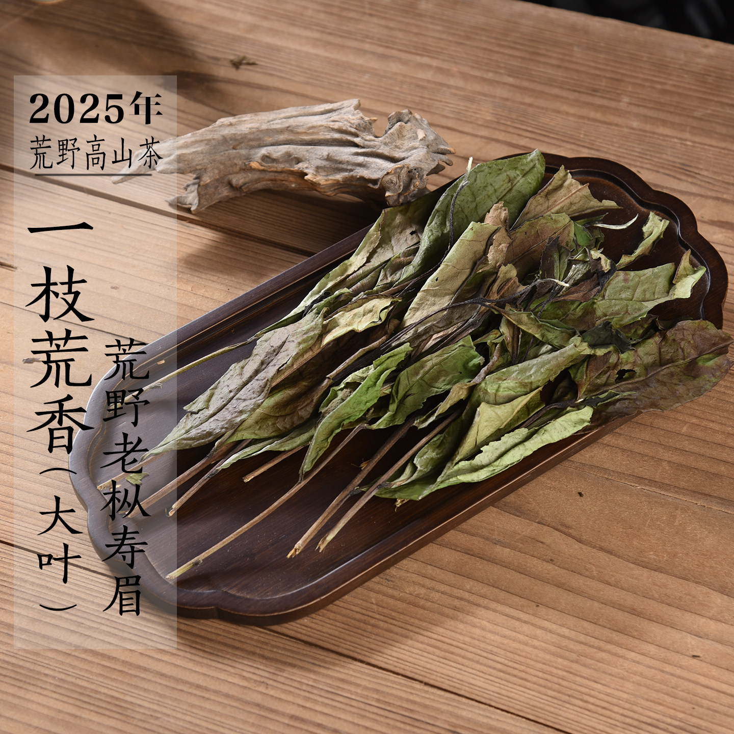 新茶 2025年荒野老枞寿眉一枝荒香 扫把茶奶香高山寿眉政和白茶