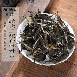 六年陈2019年头春政大三级白牡丹Z5 政和大白品种政和白茶口粮茶