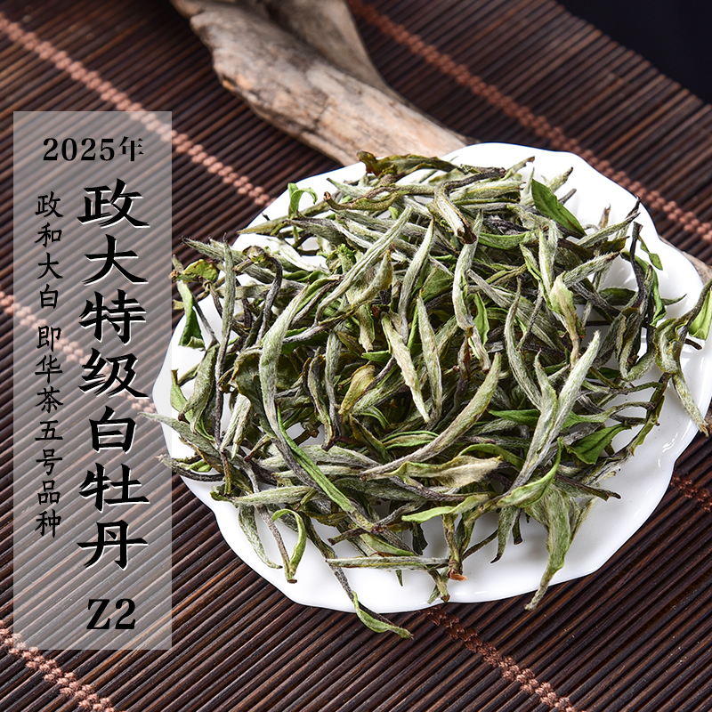 新茶2025年头春政大特级白牡丹Z2 政和大白即华茶5号品种政和白茶