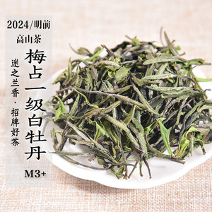 新茶 2024年明前高山梅占一级白牡丹M3+兰花香政和白茶