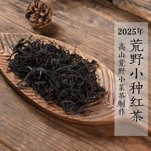 新茶 2025年头春高山荒野小种红茶 小菜茶政和工夫红茶