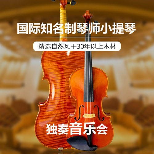 进口专业小提琴 证书齐全 支持来工作室试奏
