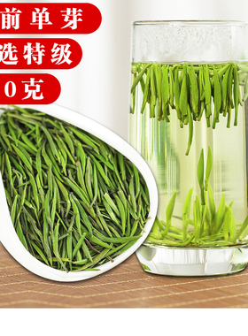 贵州雀舌湄潭翠芽2025新茶特级高山云雾绿茶明前茶叶散装春茶250g