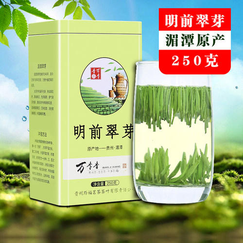 雀舌绿茶明前翠芽清香型盒装250g