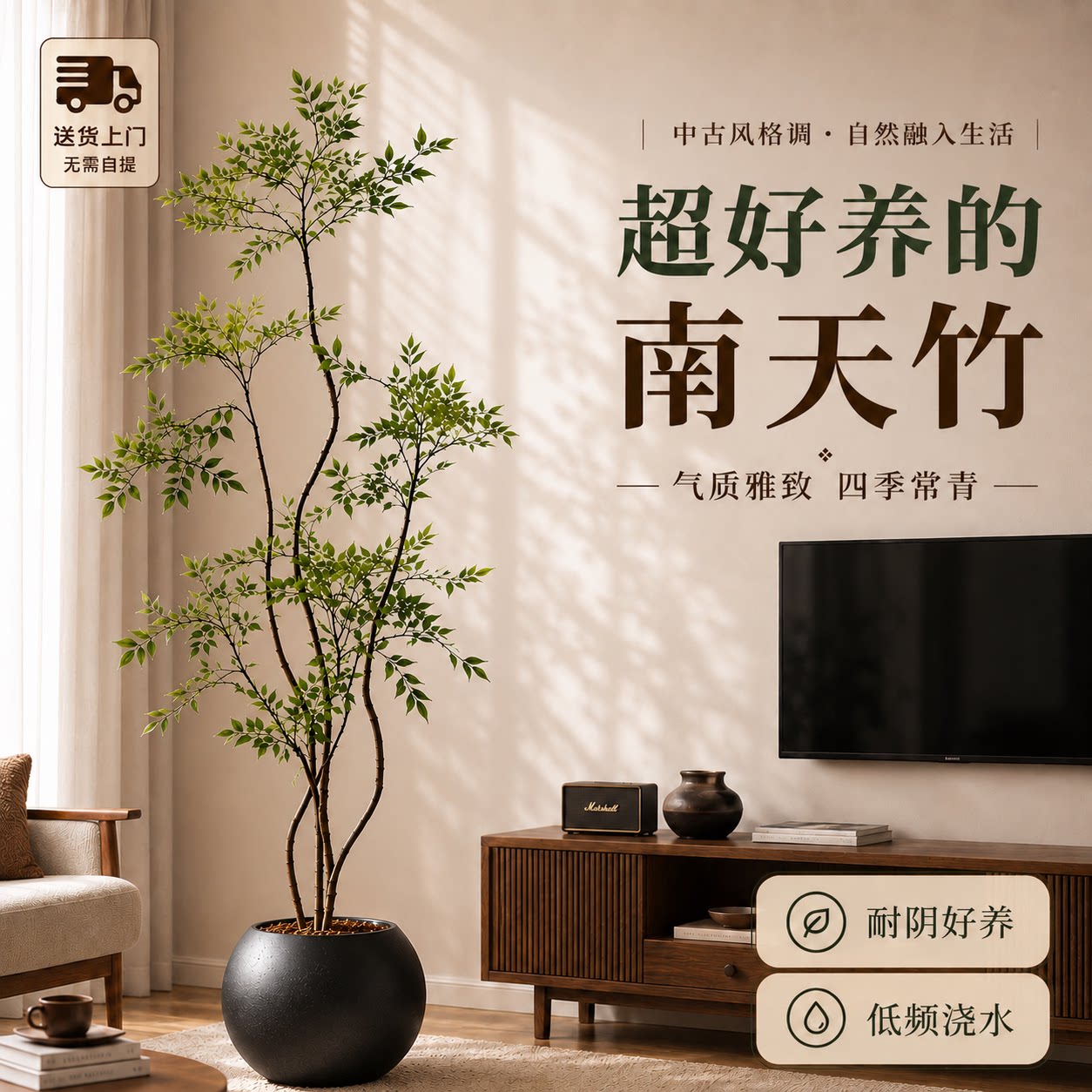 【拍照选货】南天竹客厅绿植图片