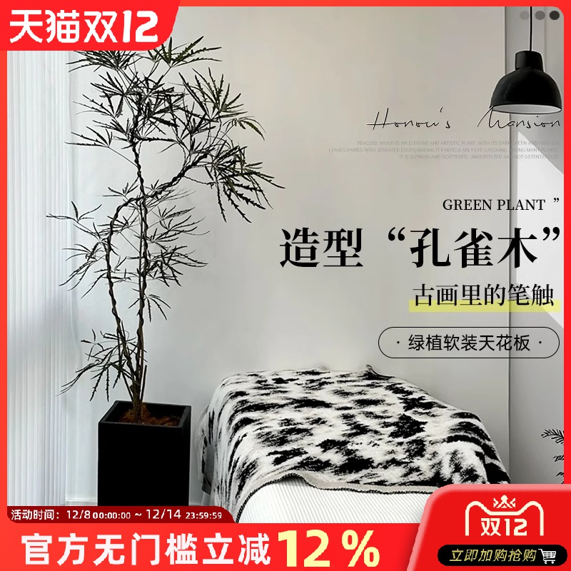 孔雀木绿植大型盆栽办公室内大花盆客厅好养网红落地大号植物真树