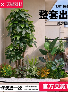 高端仿真绿植造景组合阳台橱窗玄关室内大型假植物景观氛围装饰树