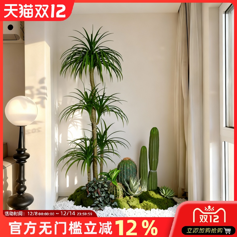 阳台热带植物造景仿真绿植仙人掌室内景观组合氛围布置墙角造景