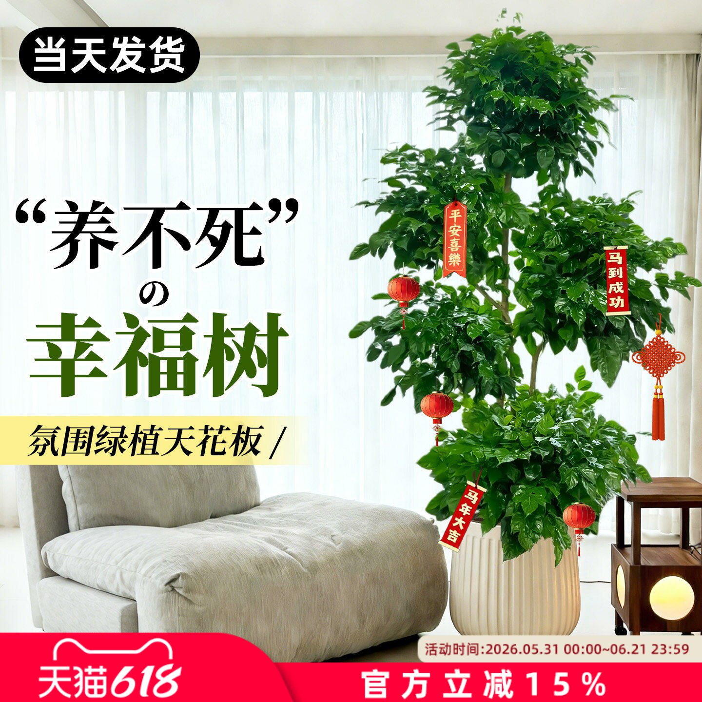 幸福树客厅绿植高级感室内大型植物树落地盆栽好养高端大气上档次
