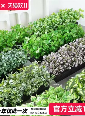 仿真花假隔断造景摆设塑料