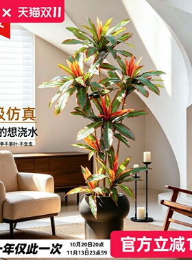 仿真红铁树大型落地盆栽朱蕉假绿植室内客厅摆件门店橱窗装饰假树