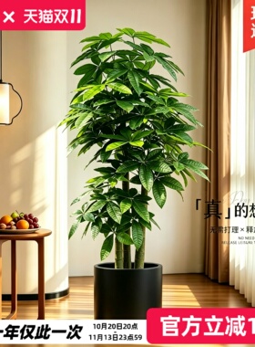 发财树仿真绿植客厅轻奢装饰摆件