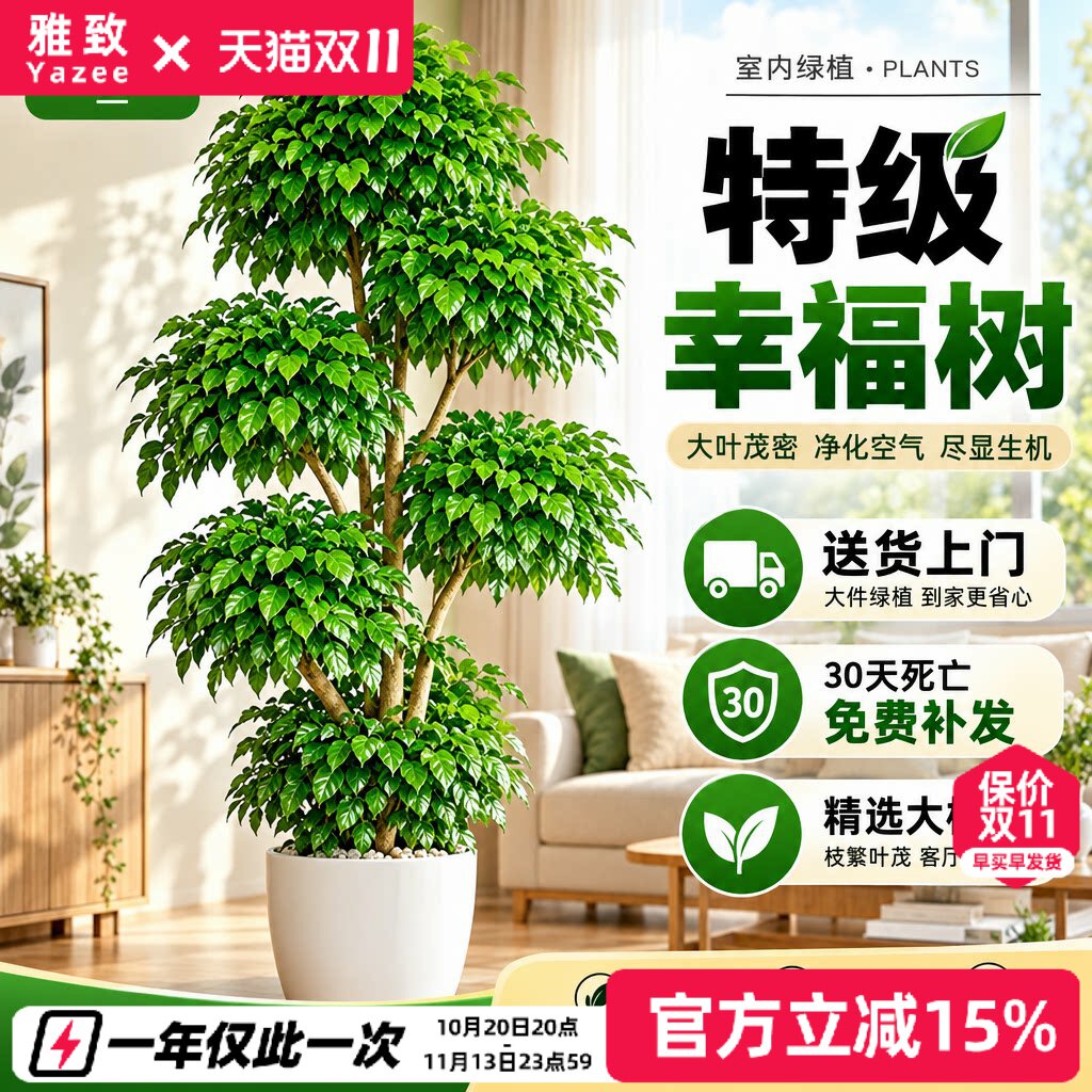 幸福树客厅绿植高级感室内大型植物树落地盆栽好养高端大气上档次