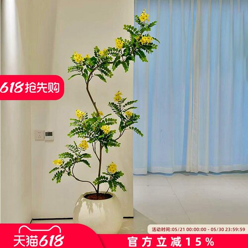 【小红书同款黄金树海虹景品】