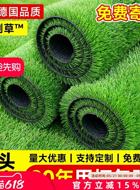德国仿真草坪地毯人工假草皮户外铺垫幼儿园塑料人造绿色草地垫子
