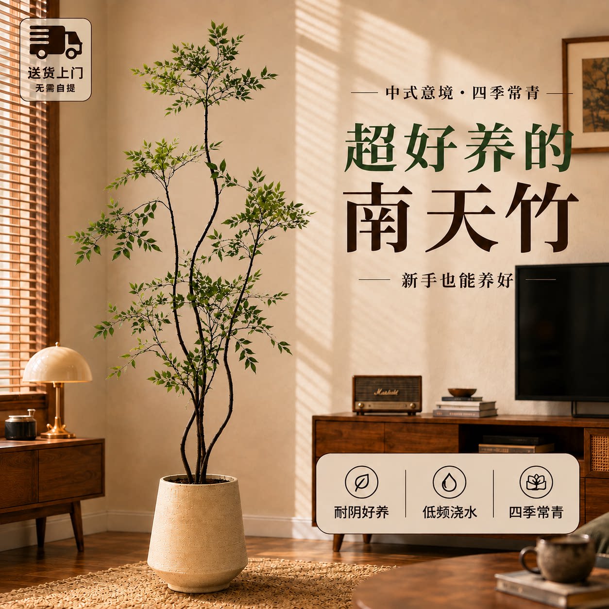 【拍照选货】南天竹客厅绿植图片