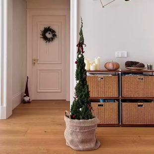 龙柏盆栽圣诞树真绿植松柏塔松室内客厅植物大型户外庭院好养侧柏