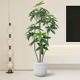 彷真绿植发财树高端轻奢室内客厅装 饰摆件假盆栽造景假树彷生植物
