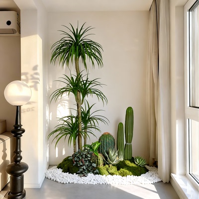阳台热带植物造景仿真绿植仙人掌室内景观组合氛围布置墙角造景
