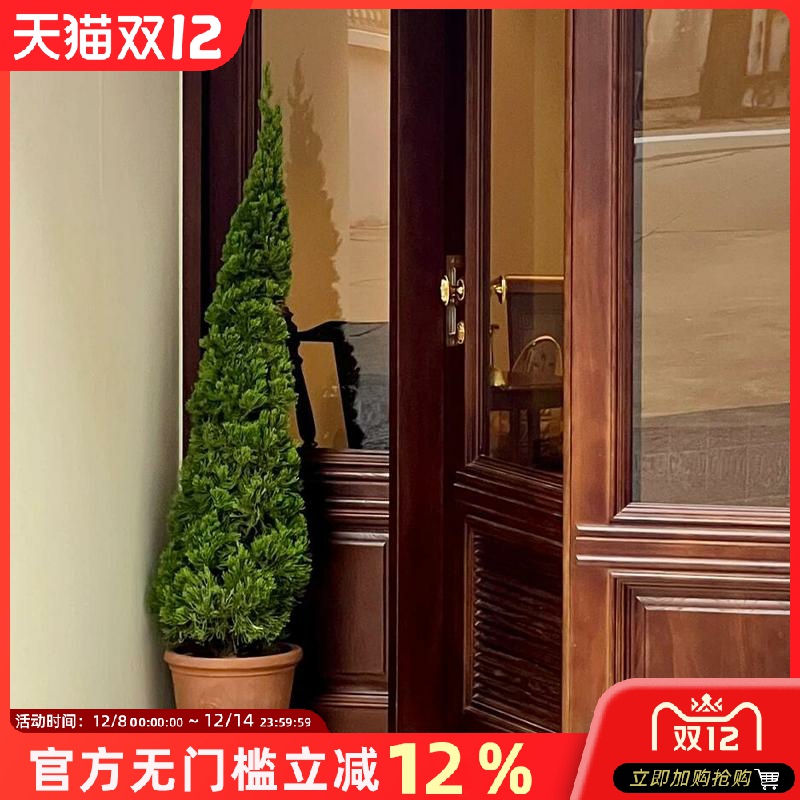 草木世界圣诞树松柏树苗