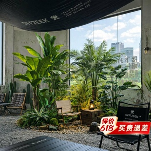 绿植造景仿真植物网红小院造景阳台室内室外露营风花园装饰布置