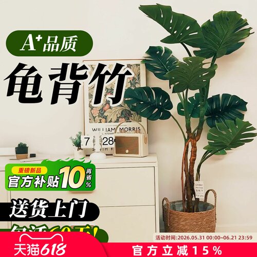 龟背竹客厅绿植室内大型盆栽高级感大叶老桩落地植物盆景四季好养