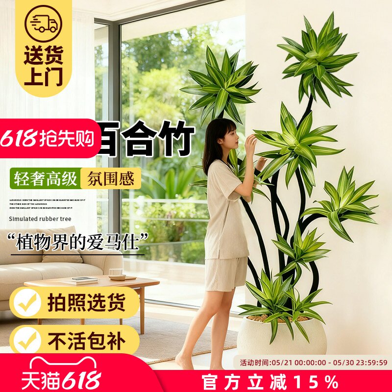 百合竹客厅大型绿植盆栽高级氛围感室内旺宅上档次造型好养真植物