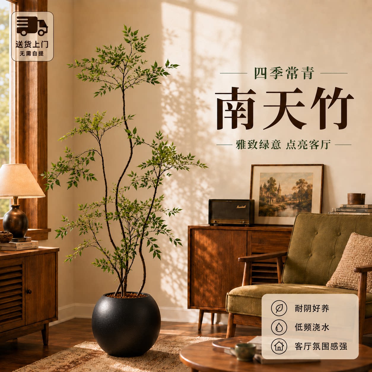 【拍照选货】南天竹客厅绿植图片