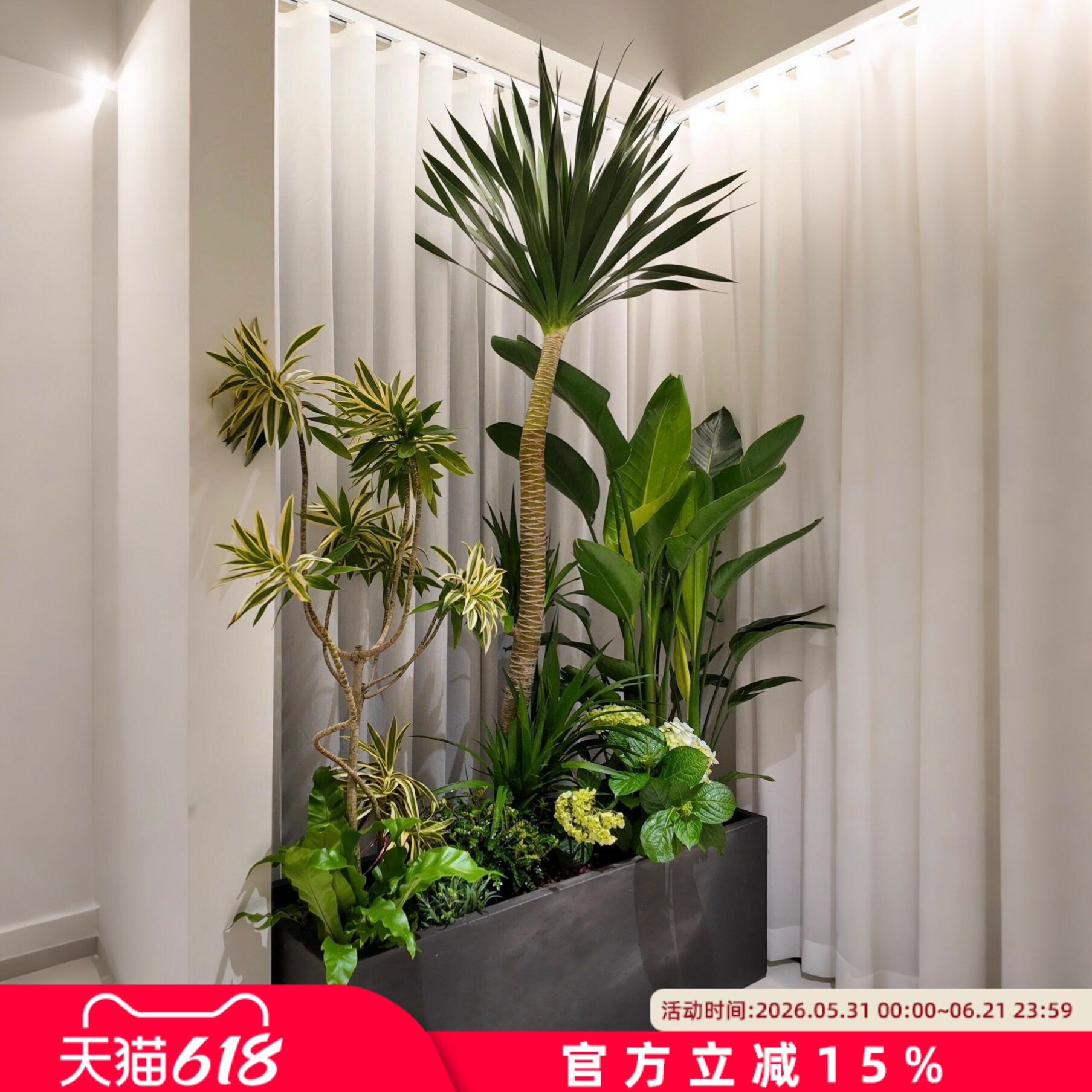 室内景观造景真植物盆栽客厅好养大型绿植办公室轻奢花箱花器装饰