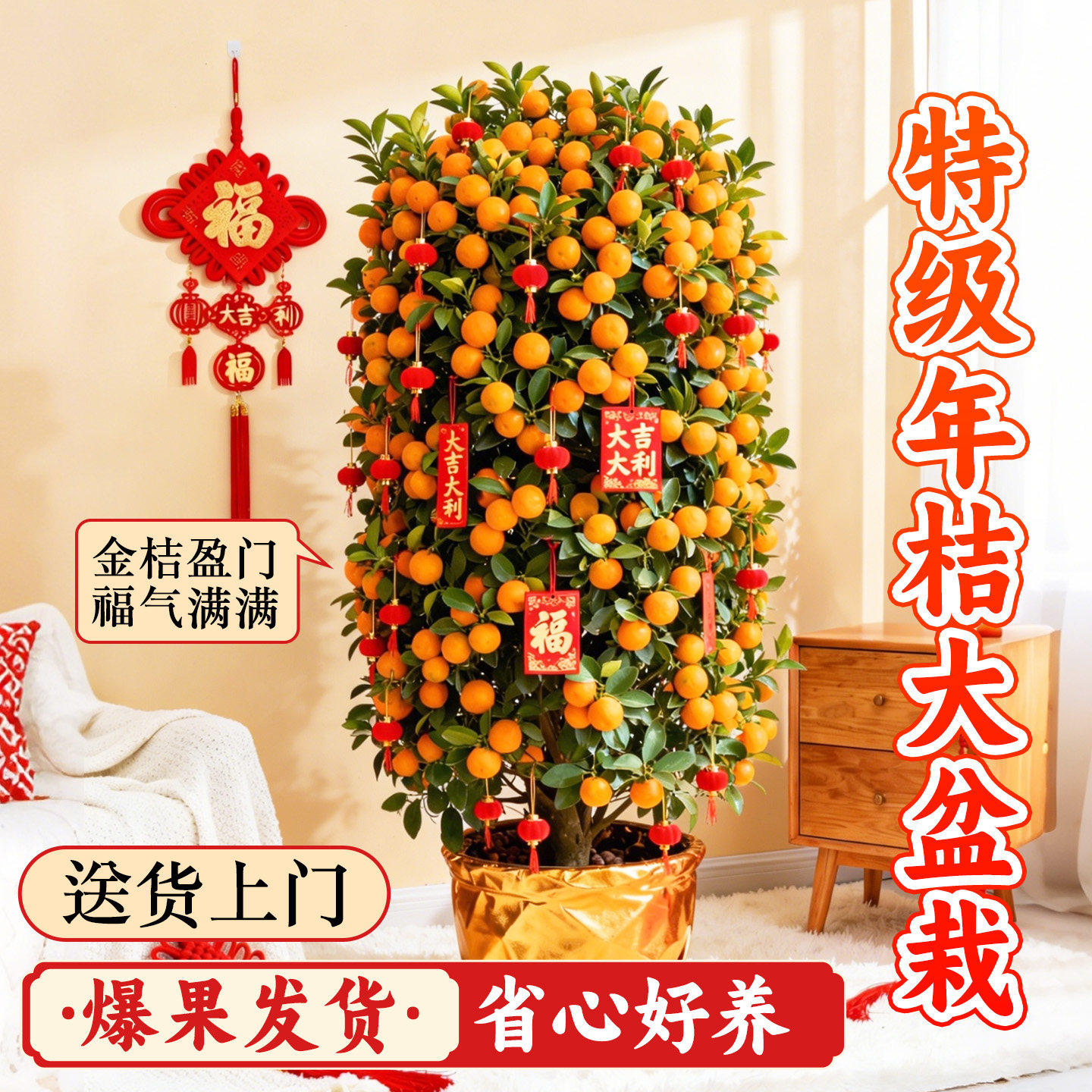 年桔盆栽带果可食用四季金桔树客厅室内新年招财寓意家庭年宵绿植,鲜花速递/花卉仿真/绿植园艺,大型绿植/成品组合盆栽,淘宝优惠券,粉丝福利购,淘宝优惠卷