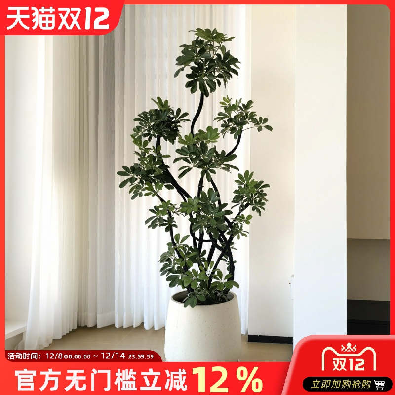 仿真绿植鸭脚木高端轻奢盆栽