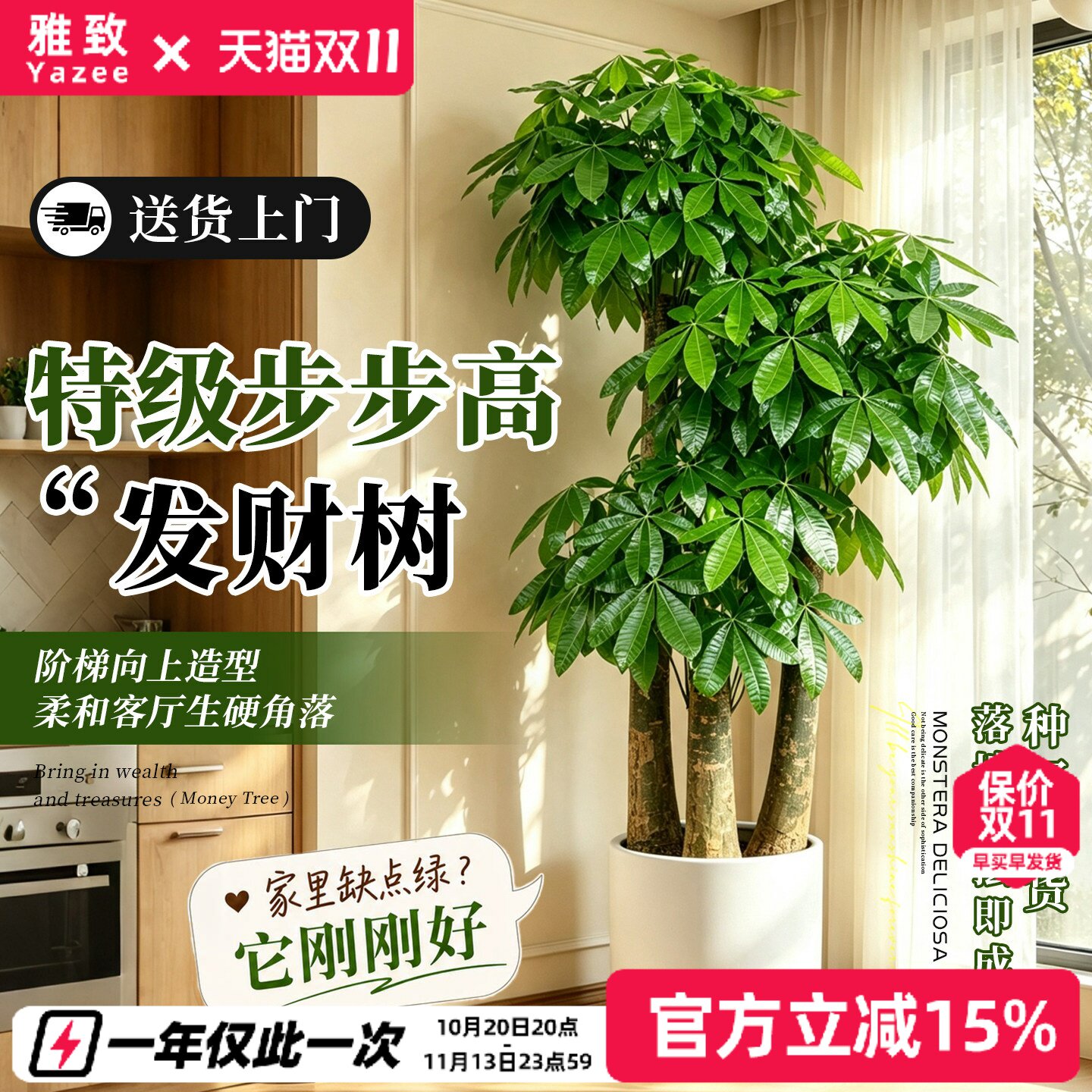 三杆步步高发财树客厅大盆栽乔迁之喜大棵开业送礼旺宅大型盆景