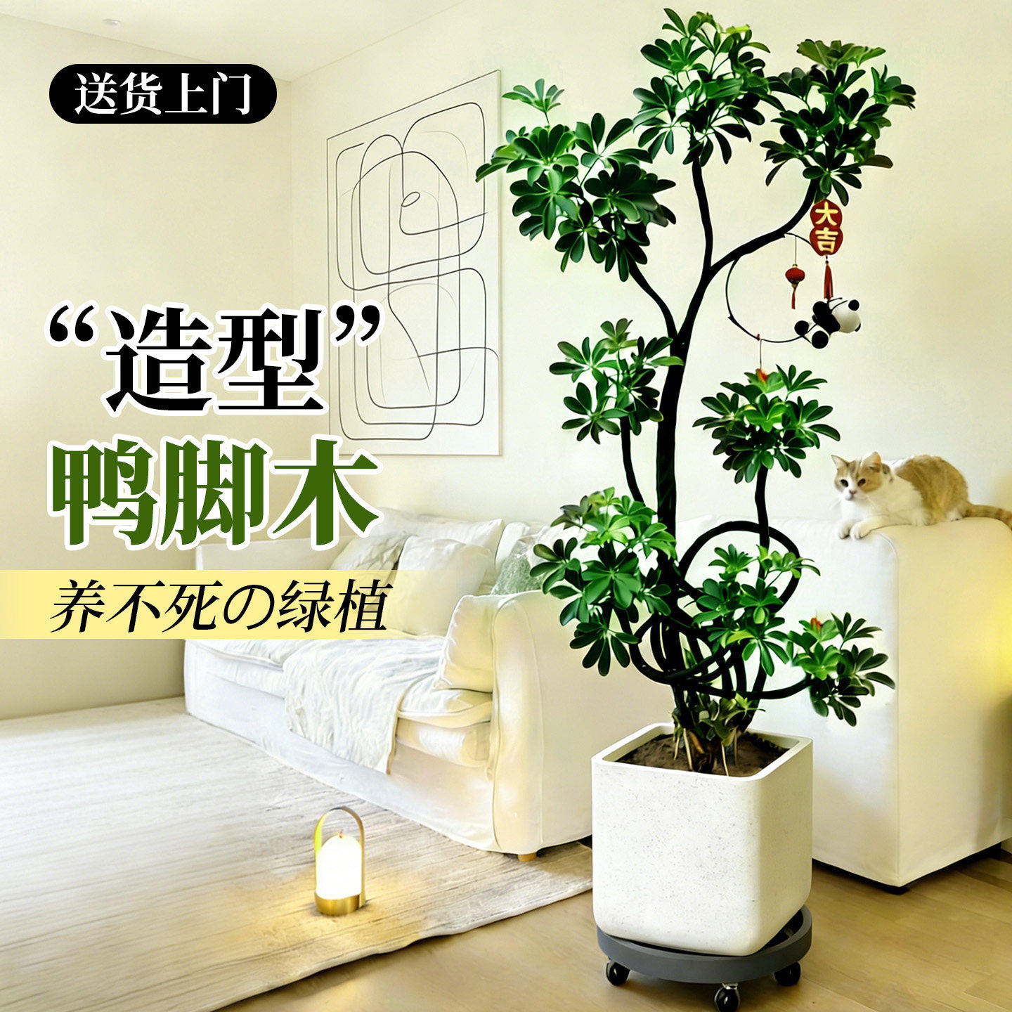 造型鸭脚木客厅绿植高级感室内大型盆栽高端大气上档次落地鸭掌木,鲜花速递/花卉仿真/绿植园艺,大型绿植/成品组合盆栽,淘宝优惠券,粉丝福利购,淘宝优惠卷