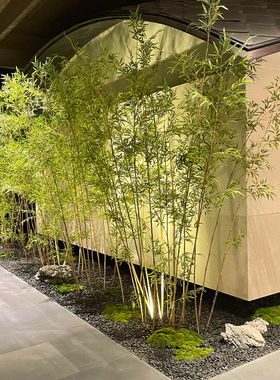 仿真竹子室内装饰造景围栏仿生绿植庭院隔断摆件酒店室内屏风