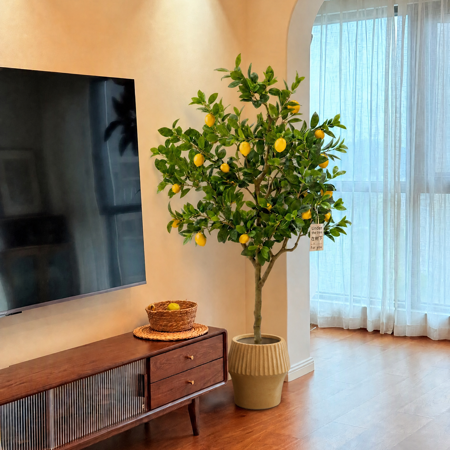 香水柠檬树盆栽带果客厅绿植大型植物室内阳台中古侘疾风四季好养图片
