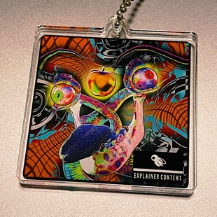 两头蛇 DAVIDVNUN 谢珍 双片亚克力挂件 头像 水浒