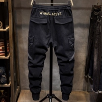 Штаны, трендовые спортивные флисовые повседневные брюки для отдыха, оверсайз, свободный крой, в корейском стиле