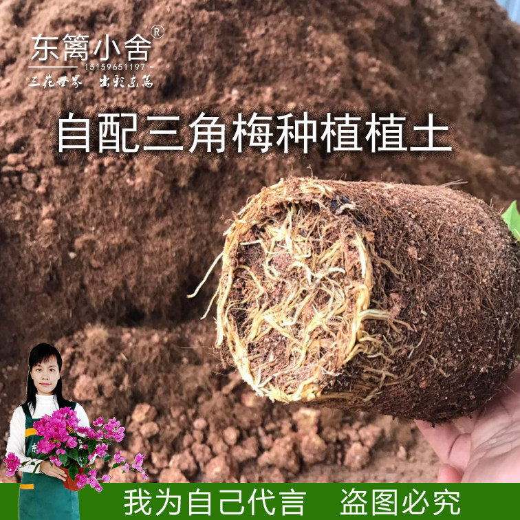 东篱小舍 扶桑三角梅专用种植土　纯椰糠　无坊布轻型机质育苗土在类目 鲜花速递/花卉仿真/绿植园艺, 园艺用品, 家庭园艺肥料/营养土/营养液中 - 来自Buy2taobao.com提供专业的淘宝代购服务