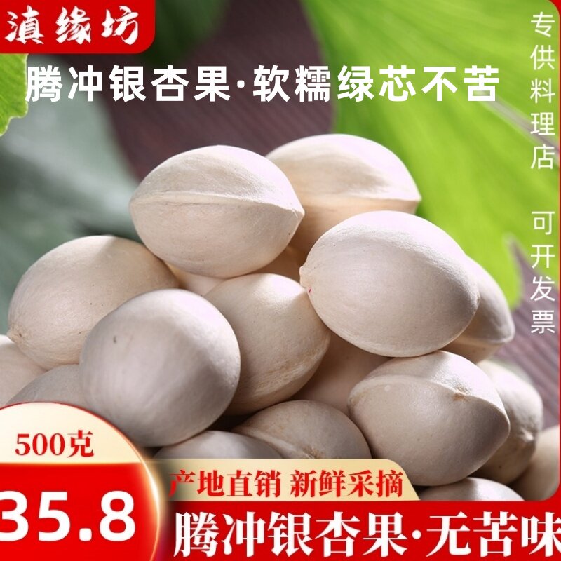 2025年云南腾冲新鲜糯白果银杏果古树绿芯香甜软糯无苦味包邮500g