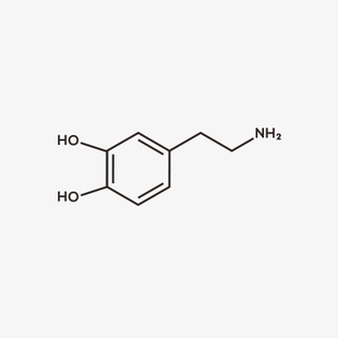 多巴胺化学分子式文艺男女防水纹身贴
